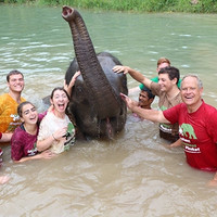 当地玩乐：换一种接触大象的方式！泰国普吉岛/清迈大象保护营一日游