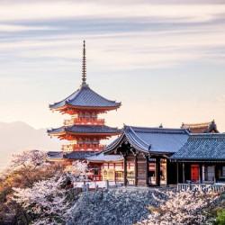 上海-日本香川/东京/大阪/名古屋/冲绳/佐贺4-7天自由行