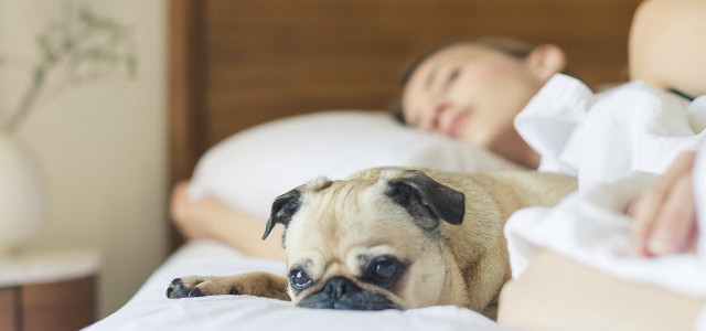 有效改善睡眠 乳胶枕、记忆棉枕和水枕谁更好