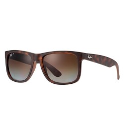 Ray·Ban 雷朋 Wayfarers系列 RB2140/RB4225/RB4221 徒步旅行者 太阳镜