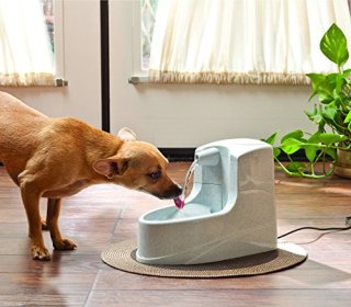 PetSafe 贝适安 Drinkwell-MINI-UK-20迷你型活氧喷泉宠物自动饮水机