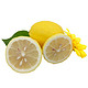 鲜果鲜生 黄柠檬 12只装 单果60-90g