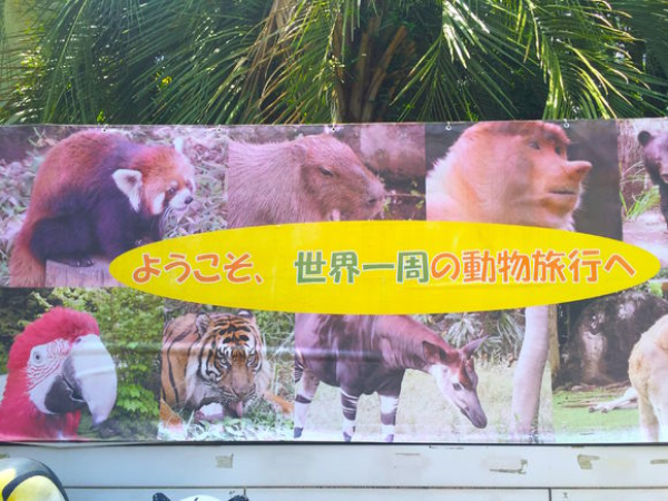 每日一景点:爸爸妈妈我想去横滨动物园