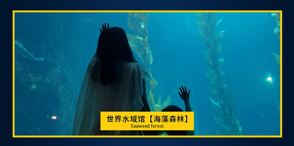 当地玩乐：夜宿海洋馆！台湾垦丁海洋生物博物馆2天1夜亲子游