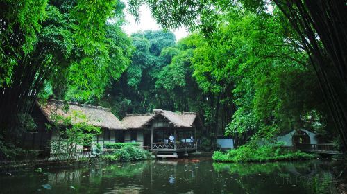 全国多地-四川成都5天4晚（宿市中心酒店）