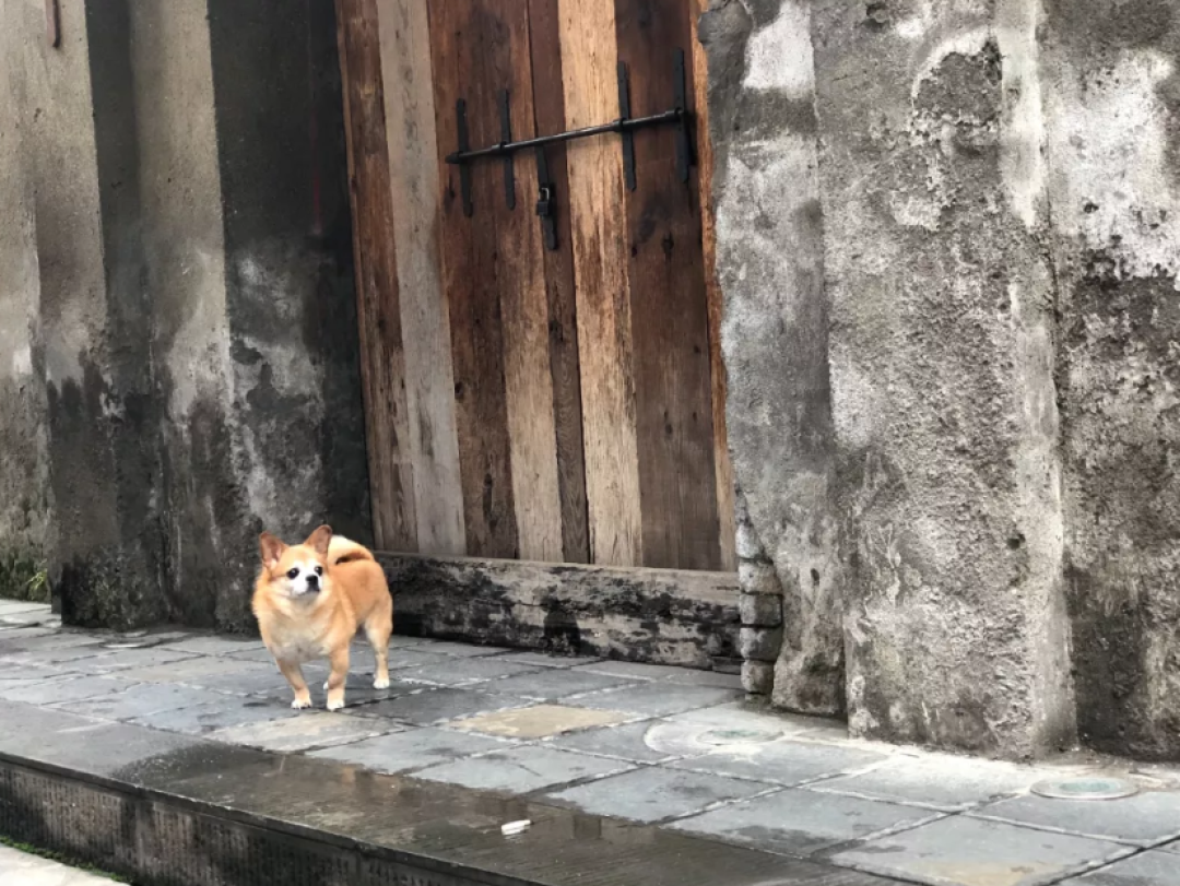 在香港端了15年盘子的他，在厕所边上开了个酒店，却成了成都人人打卡的网红地