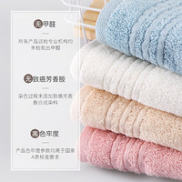 IPUVAN/爱普万 毛巾3条装 35*75cm 100g