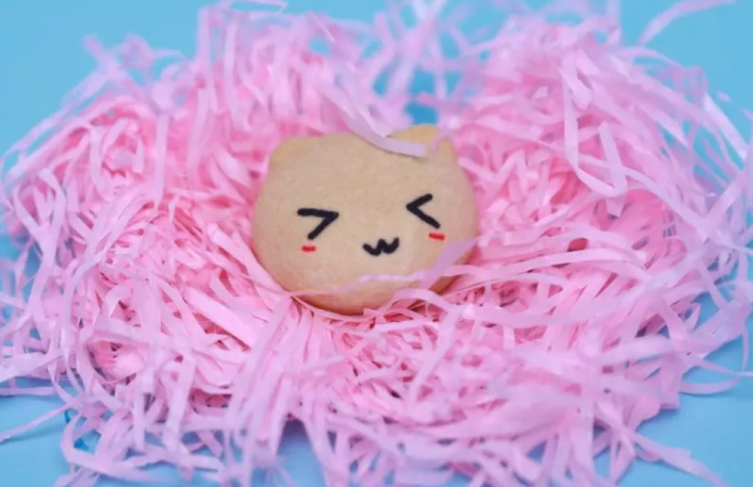 前方高能！一大波小可爱正在向你奔来