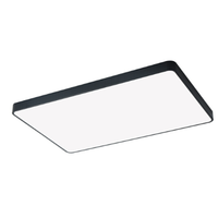 HAIDE 海德照明 HAIDE LIGHTING LED吸顶灯 144w遥控莹方 