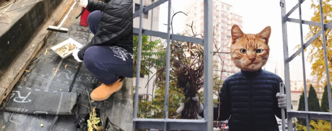 22件清洁好物，让我爱上做家务