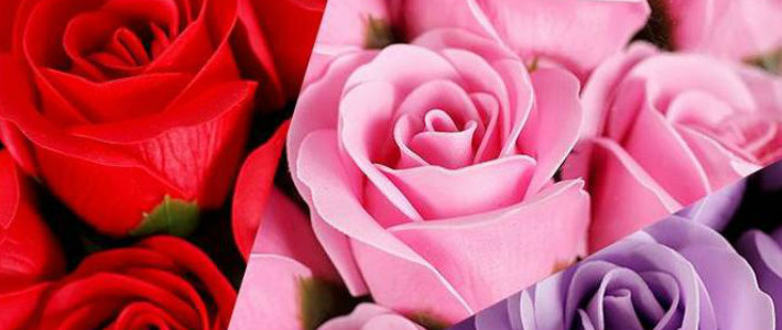  伴爱一生七夕玫瑰皂花推荐榜