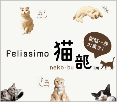 前方高萌！逛完这家猫咪的杂货店，我钱包都空了！