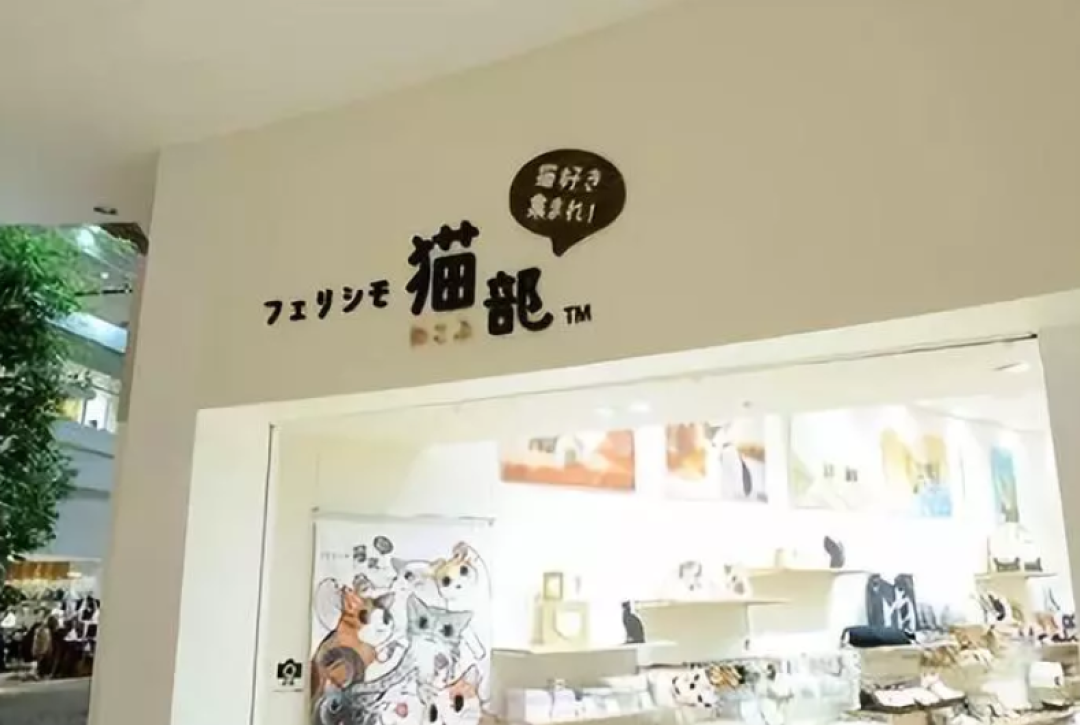 前方高萌！逛完这家猫咪的杂货店，我钱包都空了！