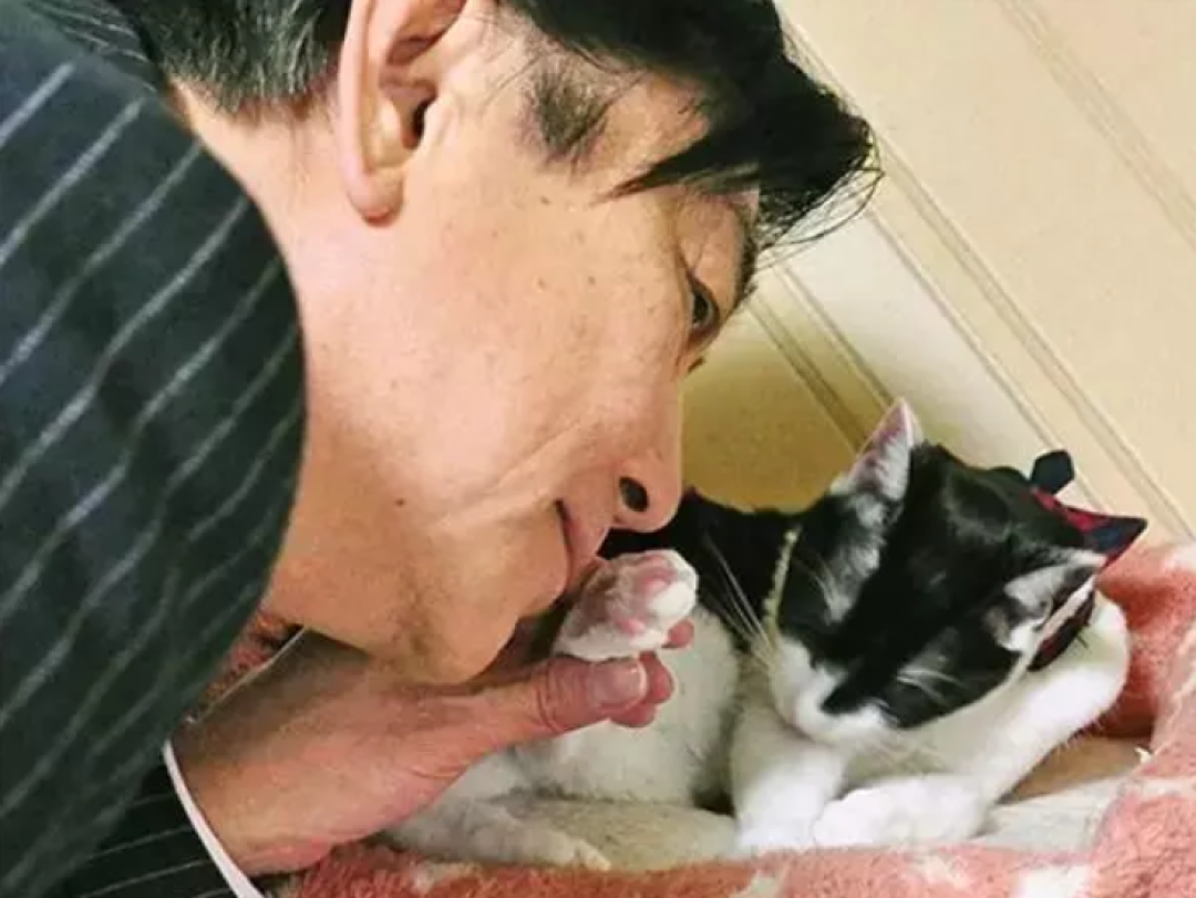 前方高萌！逛完这家猫咪的杂货店，我钱包都空了！