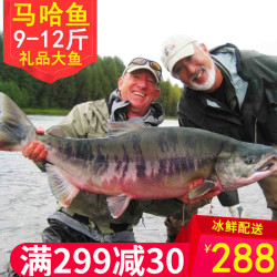 黑龙江佳木斯特产新鲜大马哈鱼冰冻马哈鱼9斤