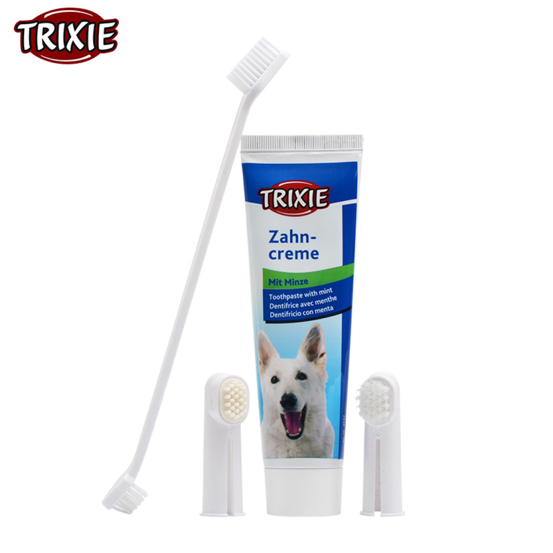 如何给猫小姐狗先生刷牙? 犬猫刷牙用品推荐