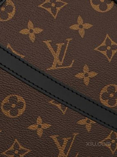  LOUIS VUITTON 路易威登 PHENIX系列 女士印花中号提挎两用包