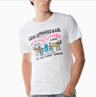 Levi's 李维斯 22495-0024 男士印花短袖