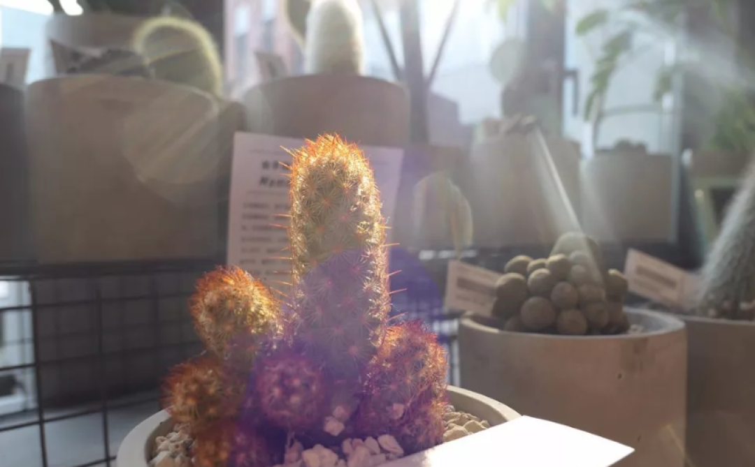 除了MUJI和星巴克,前门北京坊还有这几个店有必要打个卡!