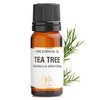  AA SKINCARE/英国AA网 补水保湿 茶树精油