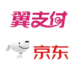 翼支付 电商购物（京东可用）代金券