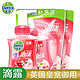 Dettol 滴露 樱桃芬芳 泡沫洗手液套装 700ml