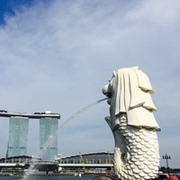 出游必备：新加坡5-10天4G电话卡 无限流量 可选新马泰3国通用