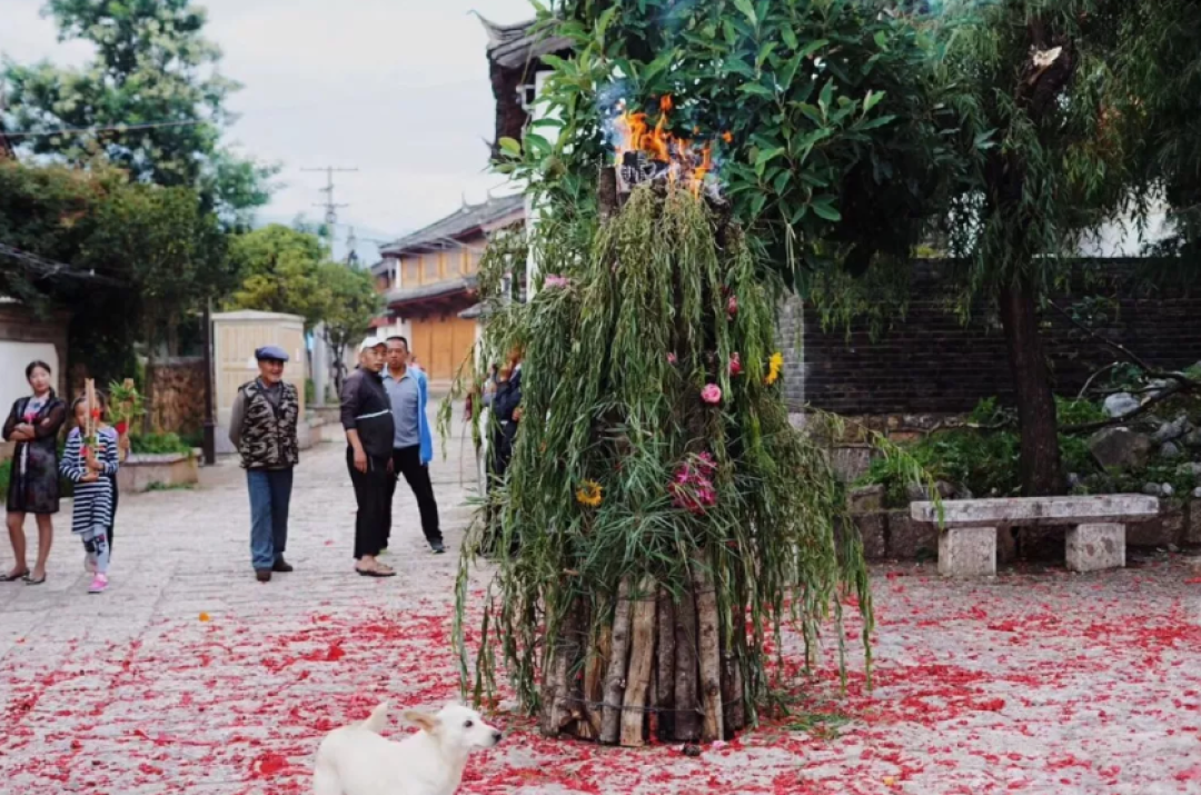 远离人群,住在雪山下的原始村庄,这才是真正的丽江!