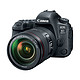 Canon 佳能 EOS 6D Mark II 全画幅单反相机套机 （EF 24-105mm F4L II）