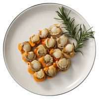 citilink 协东盛 冷冻 渤海 去胃 原汁扇贝肉 (250g,30-40枚)