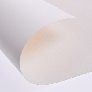 康颂（CANSON）巴比松系列水彩纸水溶彩铅画纸 法国品牌240g练习写生绘画纸 4K(390x540mm）10张