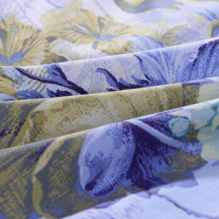 FUANNA 富安娜 贡缎床上用品四件套 长绒棉蓝色 1.8m床