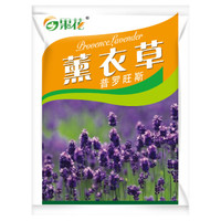果花 花卉种子 薰衣草 20粒
