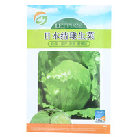 果花 蔬菜种子 日本结球生菜 10g