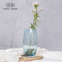 佳佰 创意冰裂纹玻璃花瓶