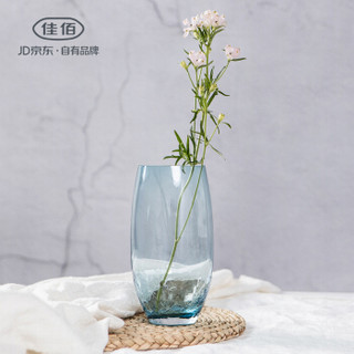 佳佰 创意冰裂纹花瓶玻璃个性客厅欧式摆件 简约家居装饰水培花器