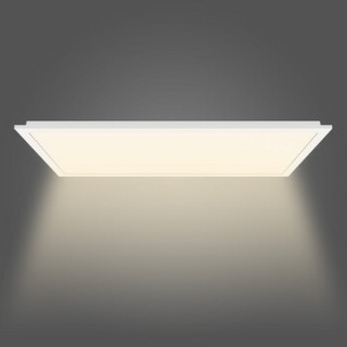 Yeelight 臻白LED面板灯300*600暖白光24w厨卫灯led集成吊顶灯吸顶灯铝扣板厨房灯超薄