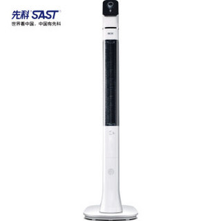 SAST/先科 TS-03 塔扇