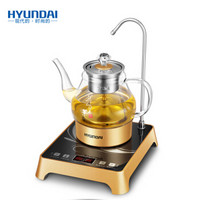 HYUNDAI 现代电器 QC-CSH202 电热水壶 0.8L