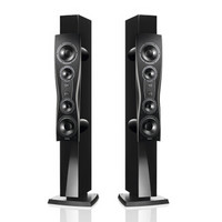  Dynaudio 丹拿 CONFIDENCE PLANTINUM C4HiFi 无源落地音箱 信心铂金版 钢琴漆黑