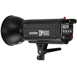 Godox 神牛 DP600W 摄影灯套装 两灯