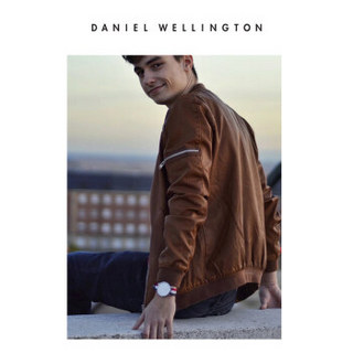 DanielWellington 丹尼尔惠灵顿 0301DW 原装表带20mm尼龙金色针扣男款 （适用于40mm表盘系列）