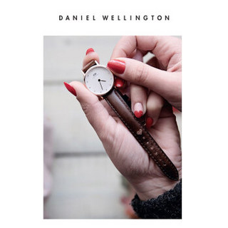 DanielWellington 丹尼尔惠灵顿 1051DW 原装表带13mm皮质金色针扣女款DW00200062（适用于26mm表盘系列）