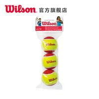 Wilson 威尔胜 训练网球 低压缩网球 耐磨儿童网球Starter WRT137001