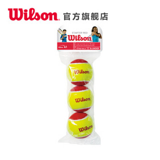 Wilson 威尔胜 训练网球 低压缩网球 耐磨儿童网球Starter WRT137001