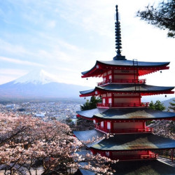 天津/北京-大阪/东京/札幌3-30天往返含税机票
