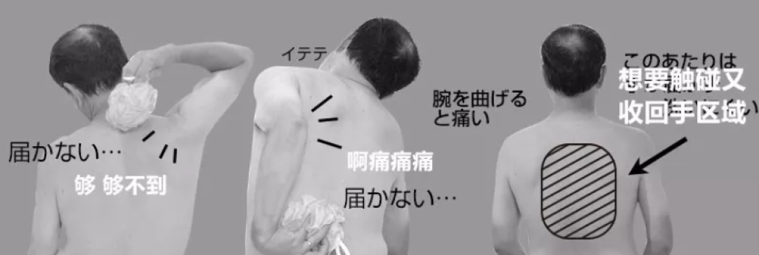 日本最网红的8件便利小物,件件都击溃了我