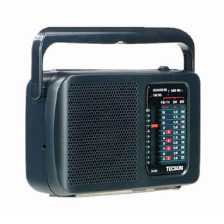 TECSUN 德生 R303 收音机