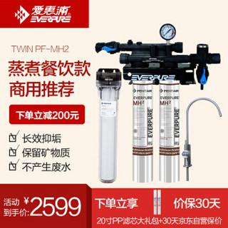 EVERPURE 爱惠浦 MH2 厨房净水器