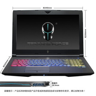 TERRANS FORCE 未来人类 T500 15.6英寸笔记本电脑(i7-8750h、16GB、256G+1T、